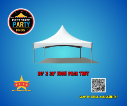 20' x 20' High Peak Tent