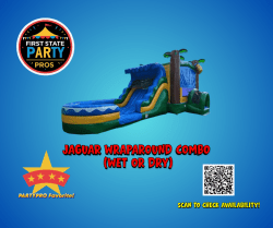 JAGUAR WRAPAROUND COMBO (Wet or Dry)