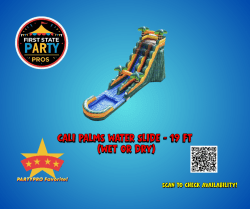 Cali Palms Water Slide - 19 FT